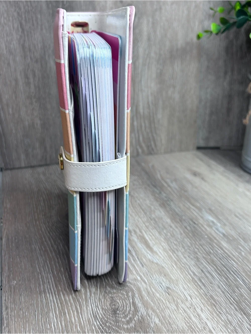 The Paper Studio 52 Agenda Rainbow-Striped Compact Planner Binder Organizer 6x8